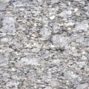 Fish Black - Image 3